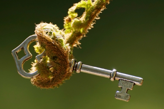 虚化背景户外自然植物金属钥匙