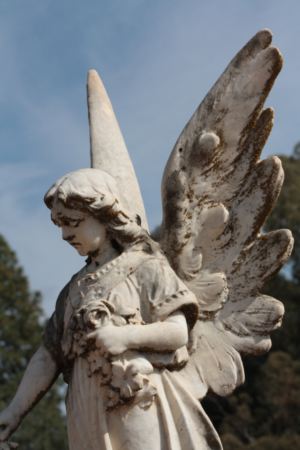 广场上捧着花朵长着翅膀的小天使雕像