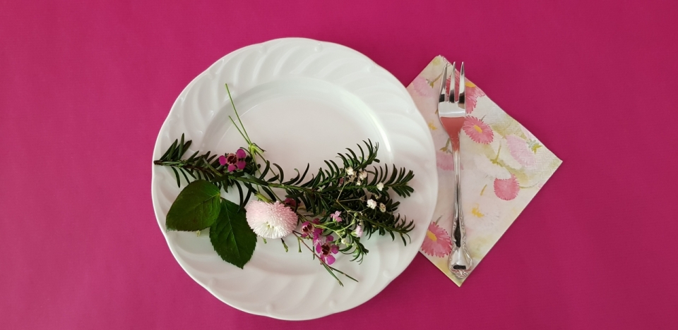 粉色背景白色盘子金属叉子自然植物