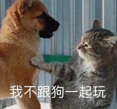 幽默搞笑表情包图片