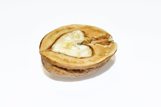 白色桌面上心形横切面的核桃