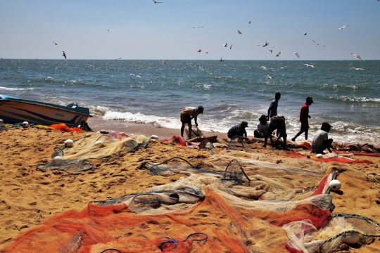 阳光户外蓝色大海边捕鱼男性们