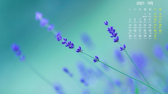 2021年7月日历薰衣草高清日历壁纸