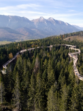 蓝天白云下高山树林观景走廊风景