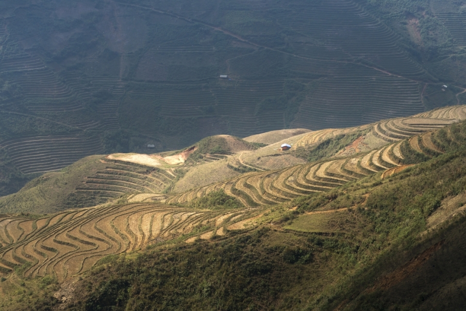 隐居山林村庄梯田劳作自然外景