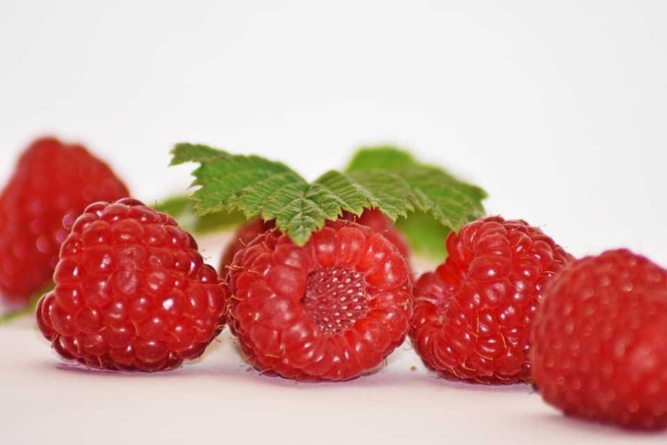 白色桌面新鲜美味健康红色树莓水果
