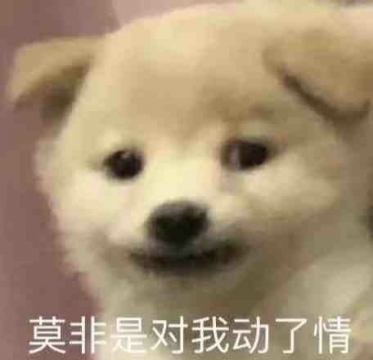 又到了存表情包的快乐时间啦