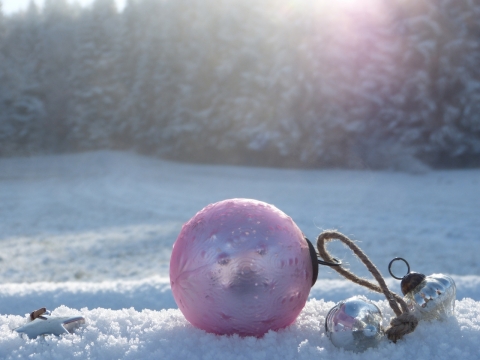 冬天阳光早晨雪后地面粉色圆形装饰