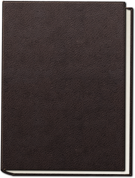 褐色封面白色内页笔记本简约设计