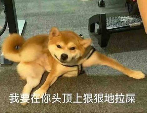 搞笑幽默无水印表情包图片