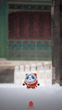 冰墩墩写真图片