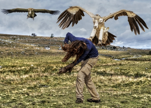 在广袤草原上身着蓝色上衣被秃鹫袭击的女性