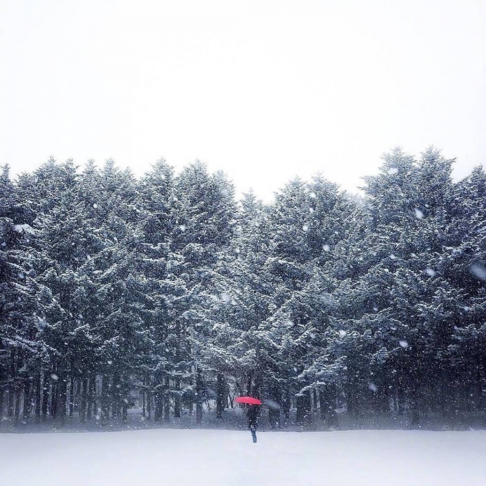 唯美雪景风景写真图片