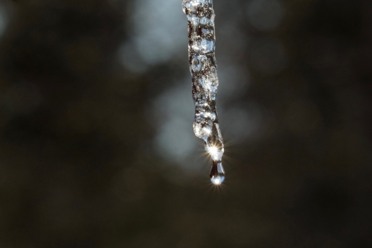 虚化背景冬天阳光户外透明融化冰凌