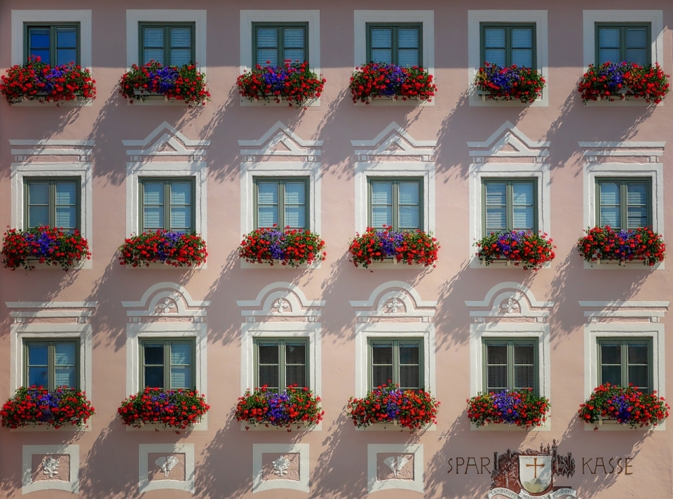 旅馆建筑窗户花朵植物墙壁外景