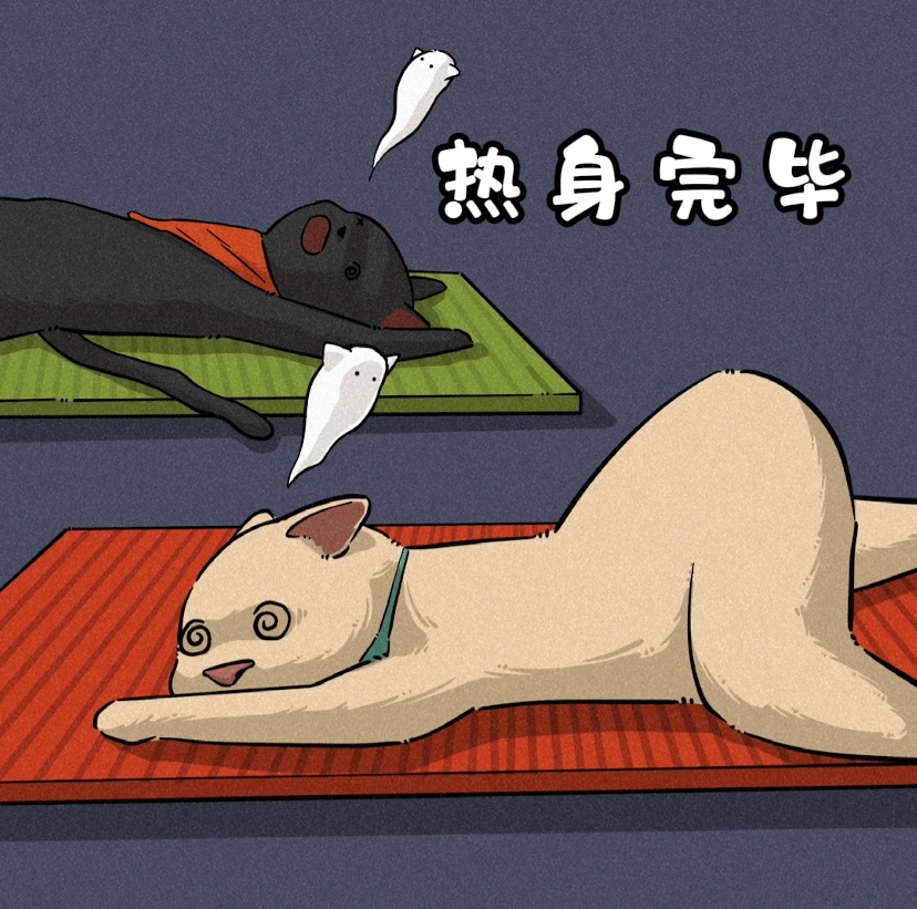 猫学刘畊宏锻炼身体图片