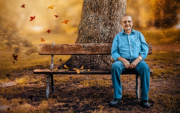 秋天自然森林树木前长椅老年男性