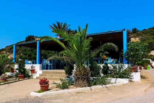 蓝色小屋前碧绿芬芳精美盆栽