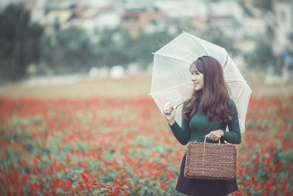 红花圃中撑伞提包的卷发美女