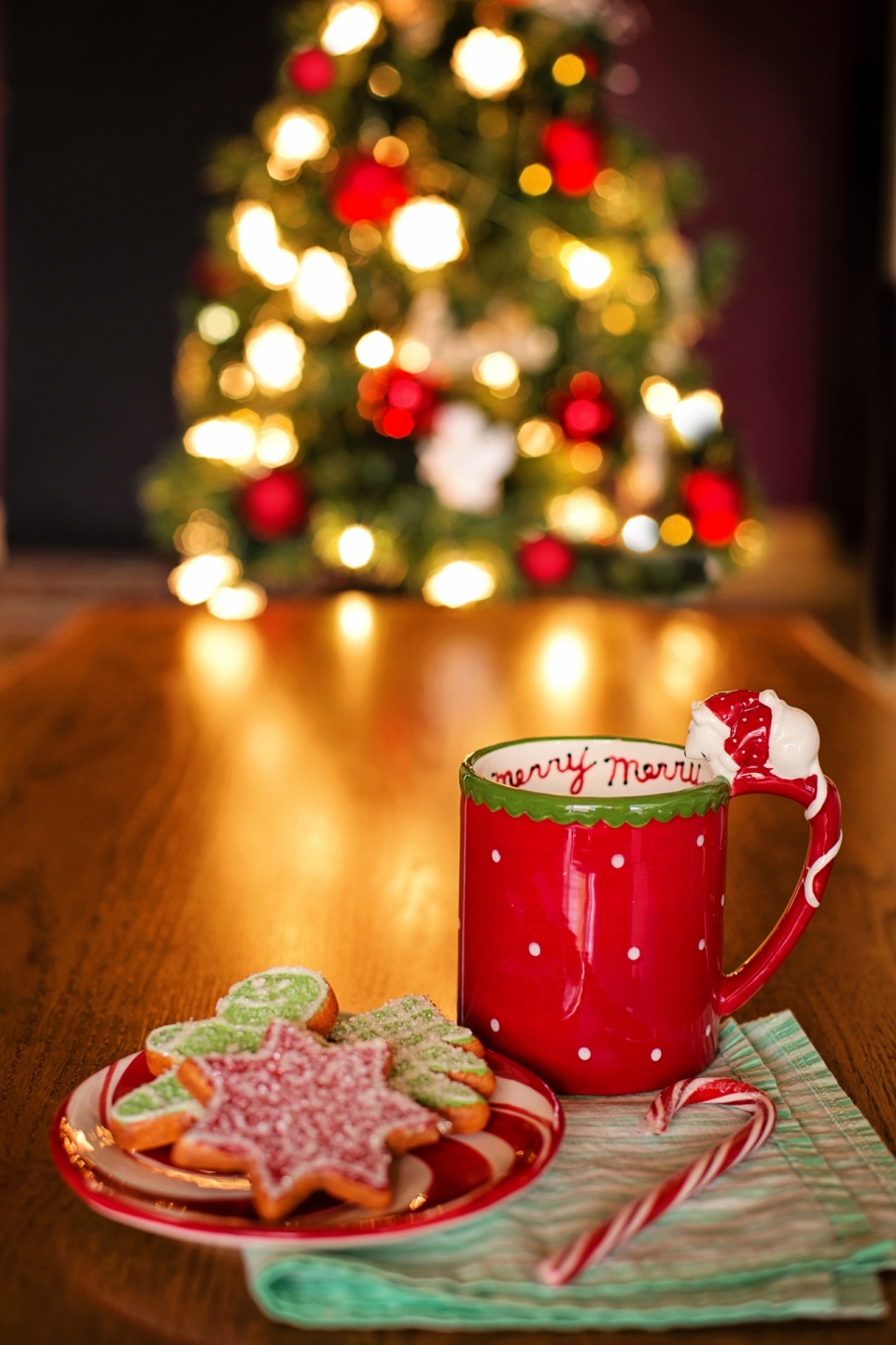 背景虚化圣诞树前的红色茶杯和饼干
