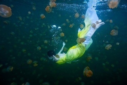 《蓝色大海的传说 》取景地之一图片