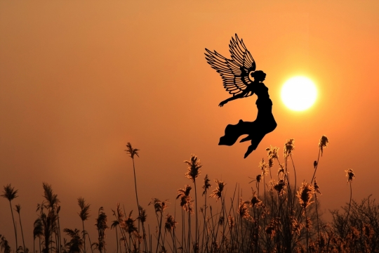 户外草丛夕阳风光剪纸画光影特效