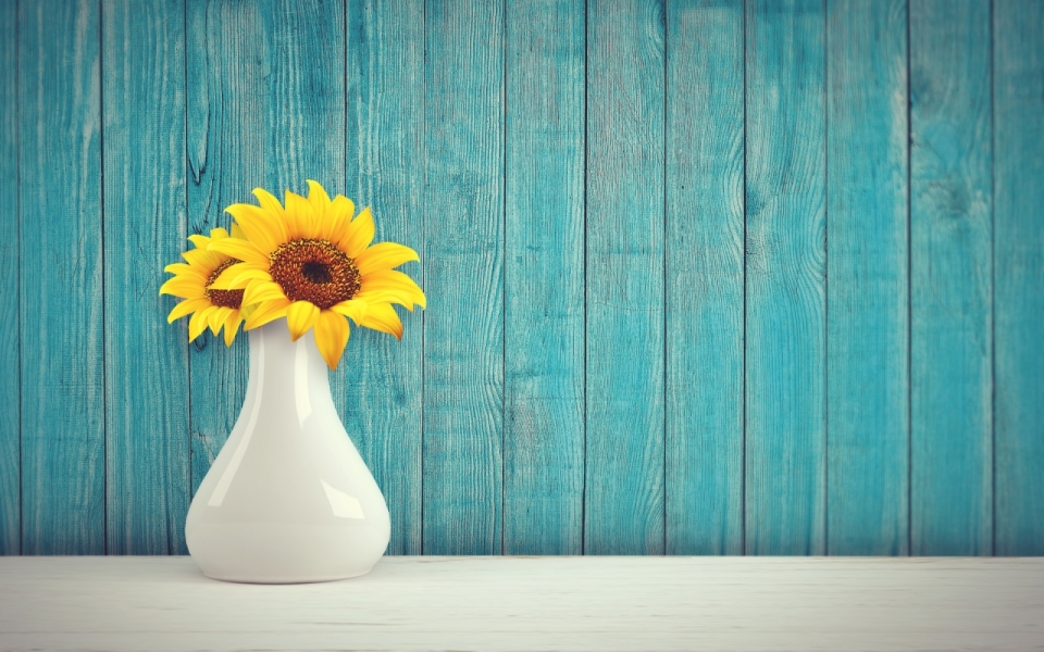 室内蓝色木制墙壁前白色桌面花瓶黄色花朵植物