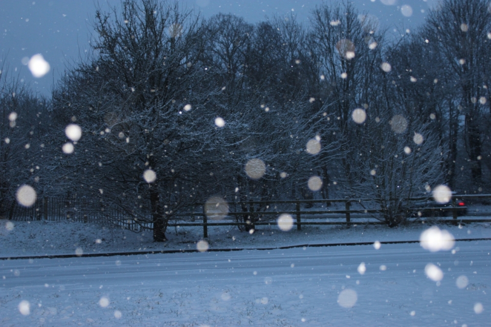 夜晚街边雪花纷飞精美雪景