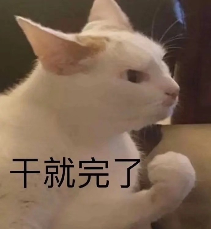 幽默搞笑小猫咪图片