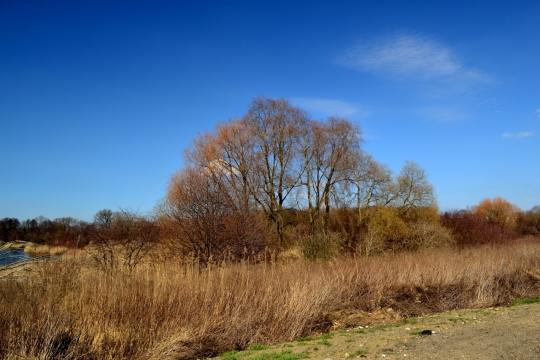 非洲草原广袤风景旅拍