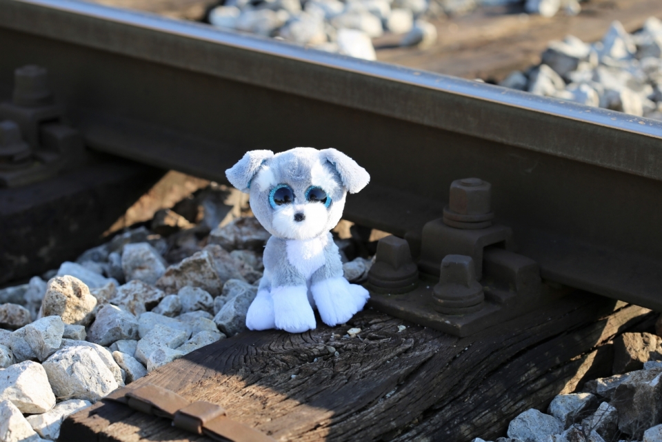 铁轨上灰色小狗玩具静物摄影