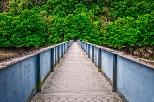 绿色森林干净桥梁清新风景