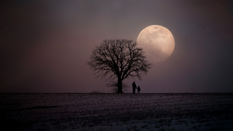 月色中站在平原枯树下的父子