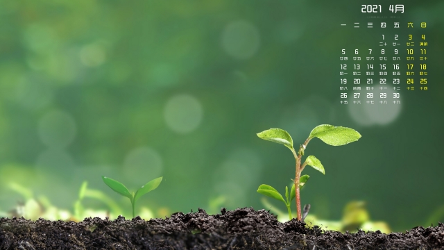 2021年4月清新护眼植物高清日历壁纸