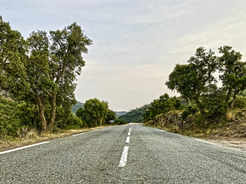 山间公路绿色清新风景
