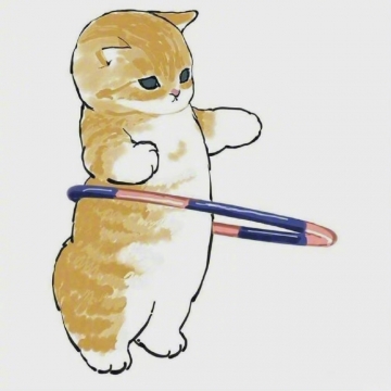 唯美动物小猫减肥图片