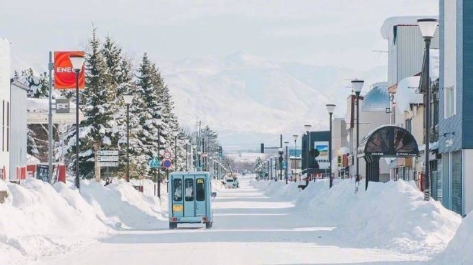 北海道的雪自然风景图片