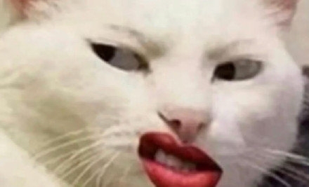 李佳琪表情包图片