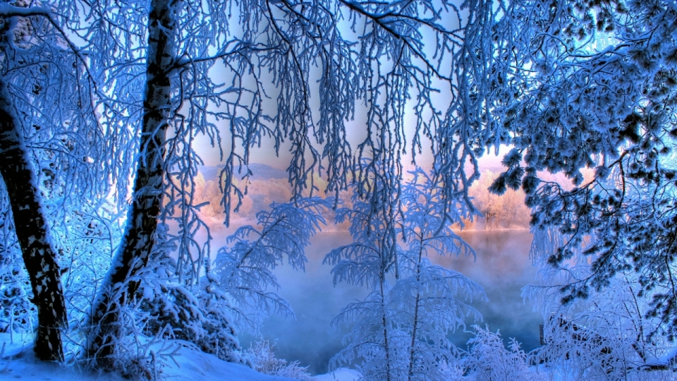 唯美冬季雪景高清桌面壁纸