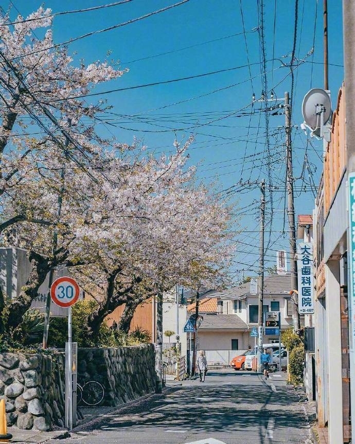 唯美清新风景图片