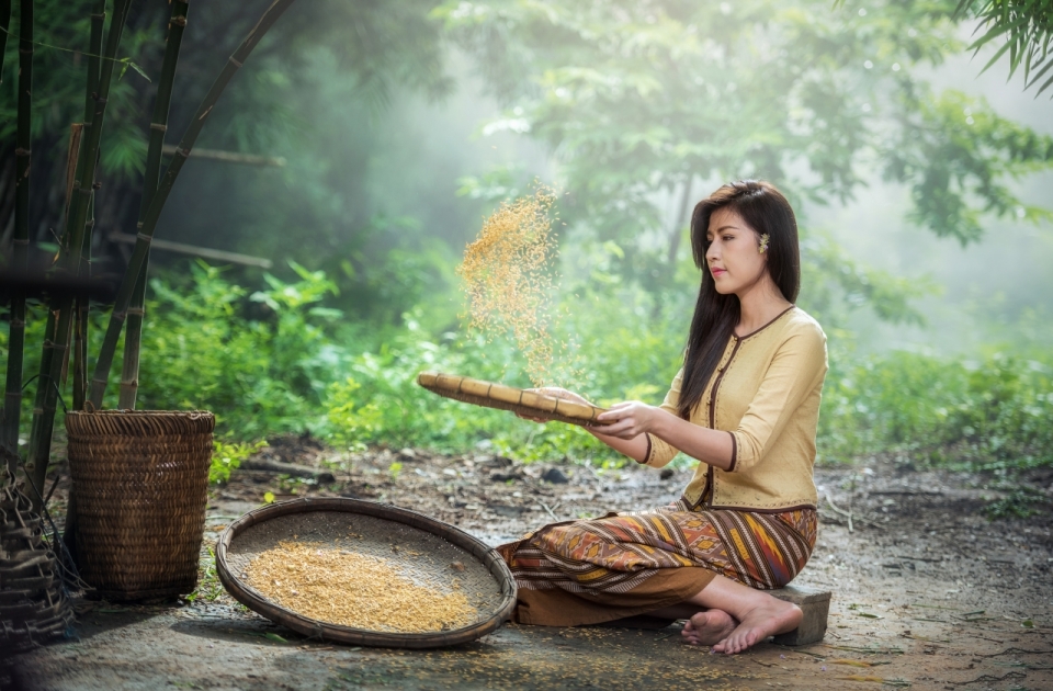 竹林旁筛米的古典气质美女高清图片下载_人物美女图片