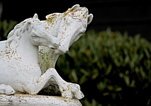 城市公园白色破旧马石质雕像