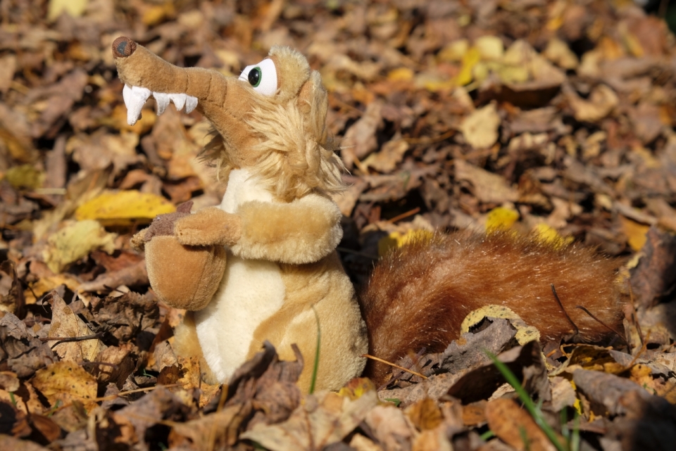 地面铺满树叶上的狐狸玩偶近景摄影