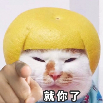 猫猫搞笑表情包图片