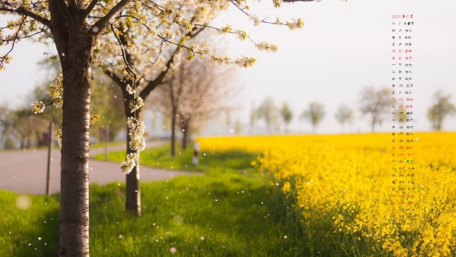 2021年唯美风景高清日历壁纸