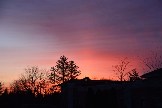 傍晚绚丽天空下户外树木建筑