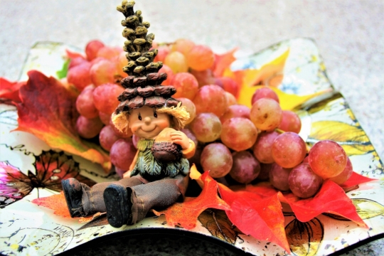 坐在葡萄前的小人摄影