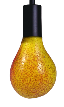 白色背景趣味梨子灯泡装饰