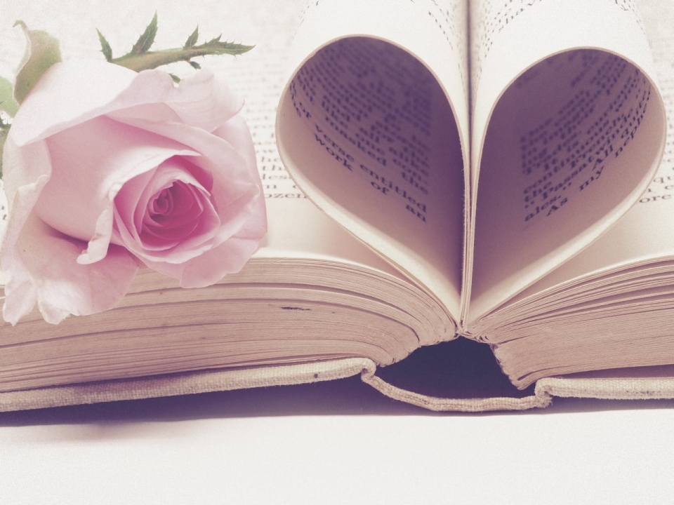 书本书页折爱心浪漫粉色花朵自然玫瑰