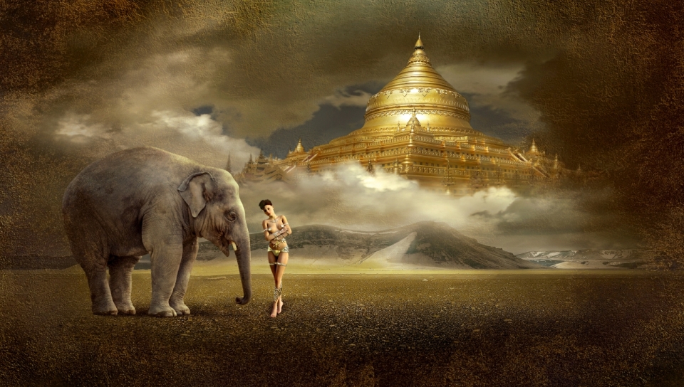 泰国金塔前的大象和大尺度比基尼美女